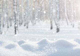 Kommt irgendwann nochmal der Winter?