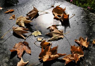 Kommt nächste Woche der große Temperatursturz?