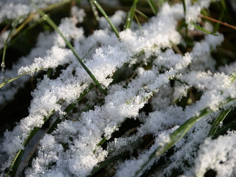 Kommt bald der erste Schnee? Kommt bald der erste Schnee?