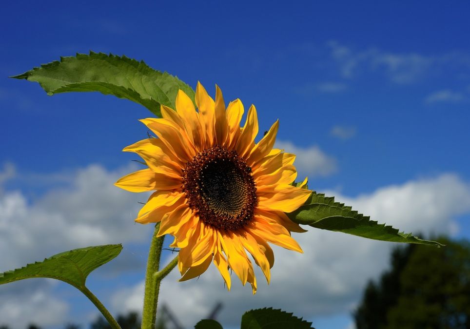 Bestes Spätsommerwetter Bestes Spätsommerwetter