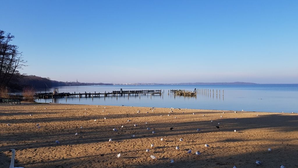 Schweriner See Refugium für Vögel: Der Schweriner See bildet eine intakte Naturlandschaft. Foto: Pixabay