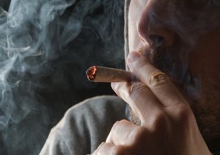 Kürzlicher Cannabis-Konsum: Studie zeigt dramatische Einbußen bei der Gehirnleistung!