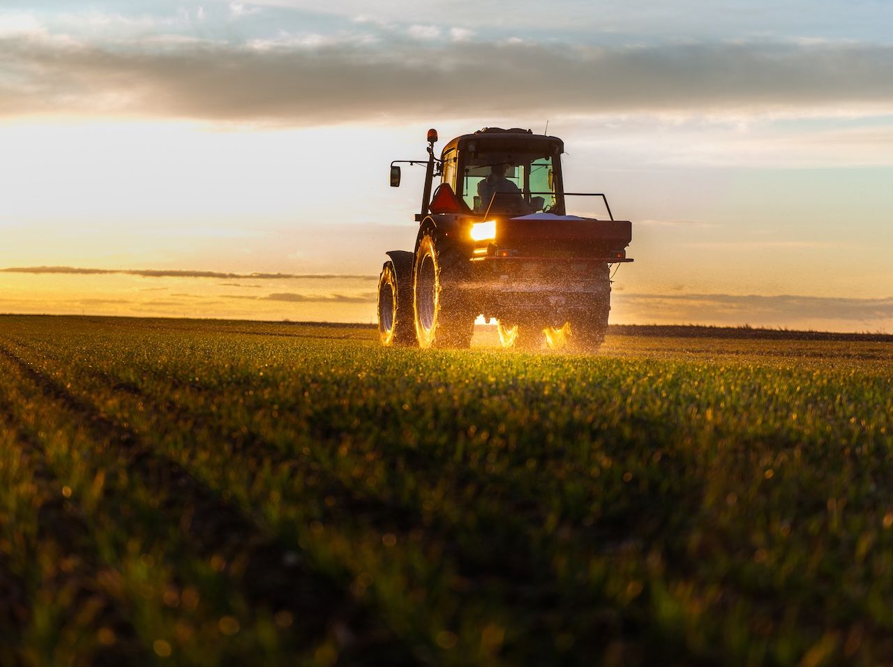 Artificial Fertilizers: Disrupting Ancient Cycles & Sustainable Solutions