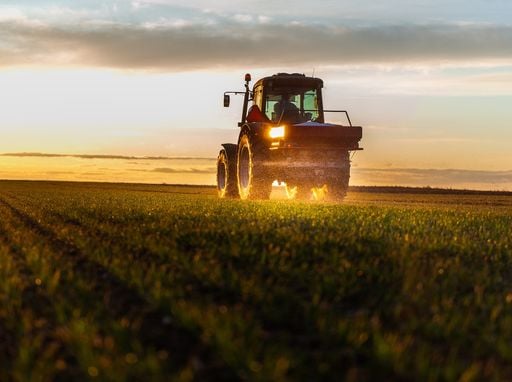 Kunstd&uuml;nger zerst&ouml;rt uraltes Gleichgewicht