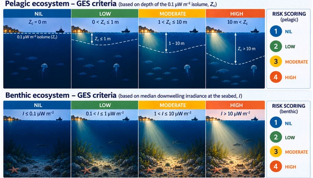 Unterschied der Lichtverschmutzung zwischen pelagischer und benthischer Zone im Meer, also zwischen offenem Meer und Meer mit Bodensediment. Unterschied der Lichtverschmutzung zwischen pelagischer und benthischer Zone im Meer, also zwischen offenem Meer und Meer mit Bodensediment. Bild: Davies et al., 2026