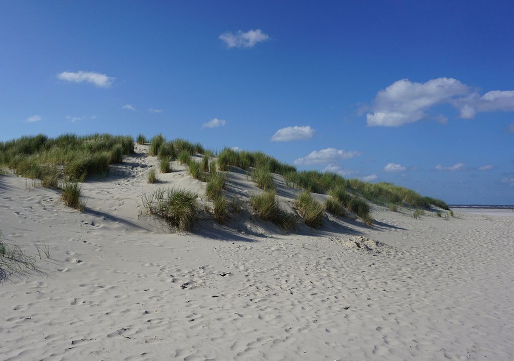 Düne am Nordstrand von Spiekeroog Düne am Nordstrand von Spiekeroog