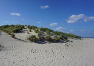 Küstenschutz der Zukunft: Innovative Dünen-Deich-Systeme wirken dem Klimawandel entgegen