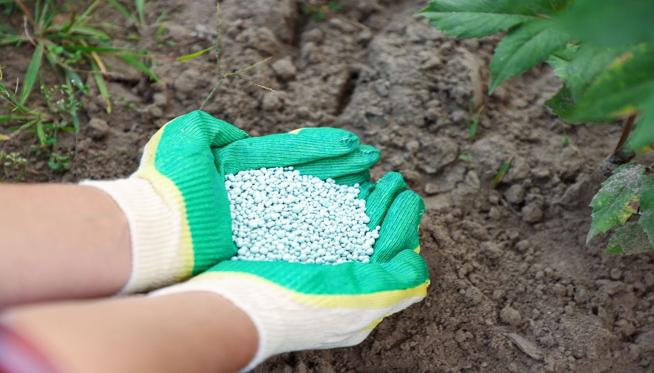 Durante séculos, os solos agrícolas forneceram naturalmente este nutriente.