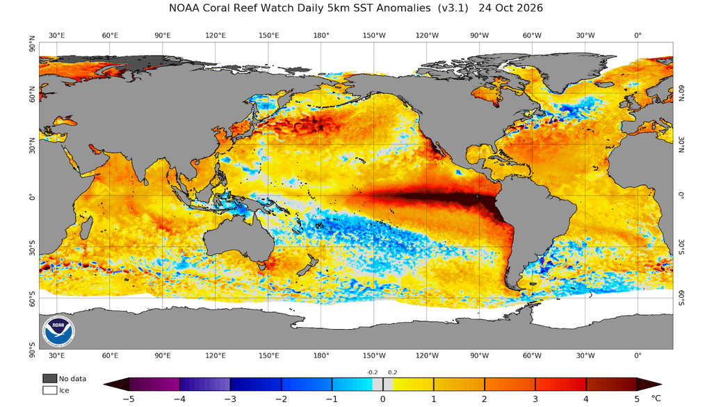 El Niño , la situazione aggiornata. L'alluvione del novembre 1966 fu preceduta da un episodio moderato forte, ma al momento dell'evento era già terminato e ENSO era neutro.