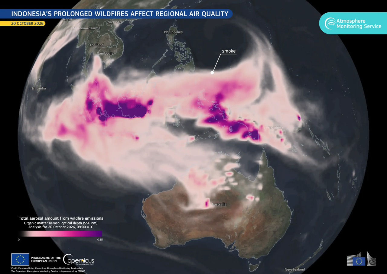 L'immagine mostra un'ampia colonna di fumo che interessa la regione. Le aree color viola più scuro indicano la presenza di fumo più denso sopra la parte meridionale di Sumatra, il Kalimantan meridionale e la parte meridionale della Nuova Guinea. Le tonalità di rosa più chiare evidenziano un fumo meno denso che si estende sull'Oceano Indiano, sull'Asia sud-orientale continentale e sul Pacifico occidentale.
