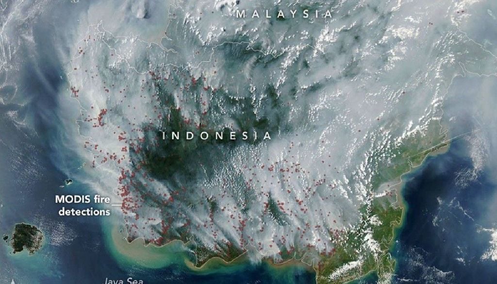Nasa Copernicus Distribuzione del fumo prodotto dagli incendi in Indonesia, secondo la previsione CAMS del 20 ottobre 2026 alle 09:00 UTC. Le tonalità più scure indicano le aree maggiormente interessate dalla presenza di fumo. Credit: Unione Europea, Copernicus Atmosphere Monitoring Service