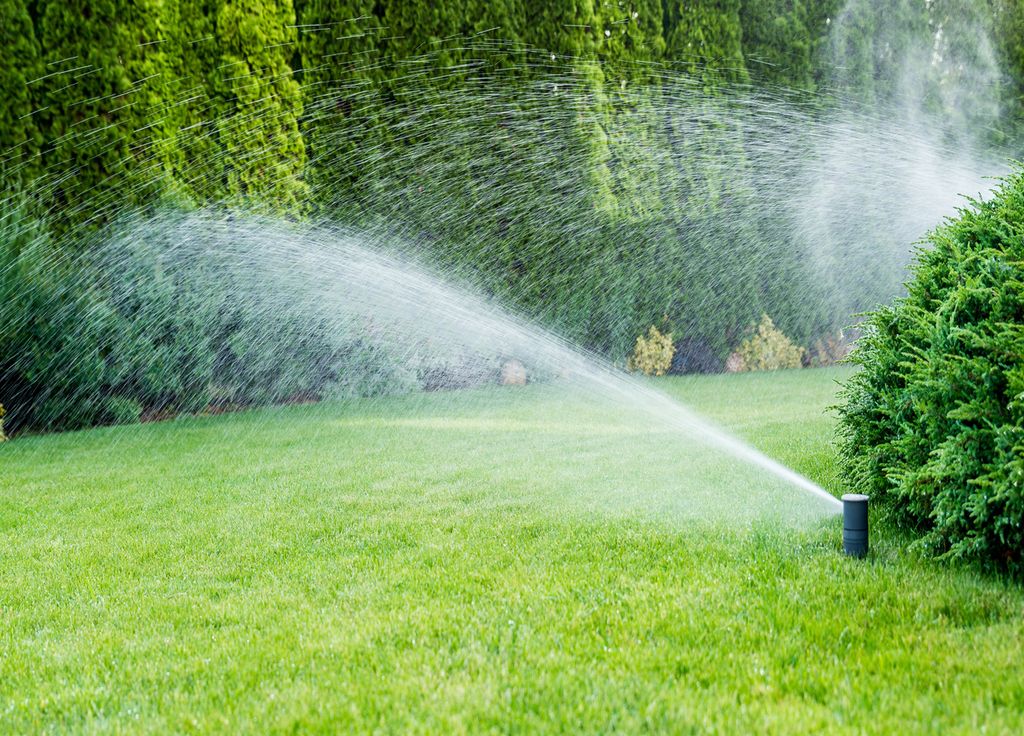 Un arrosage automatique peut simplifier la tâche. Mais il n'est pas nécessairement adapté au potager. Un arrosage automatique peut simplifier la tâche. Mais il n'est pas nécessairement adapté au potager.