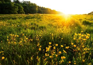 L'equinozio di primavera si avvicina: perché la radiazione solare diventa sempre più intensa?