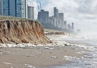 L'erosione costiera è diventata una grande emergenza, ma si può combattere solo con soluzioni naturali