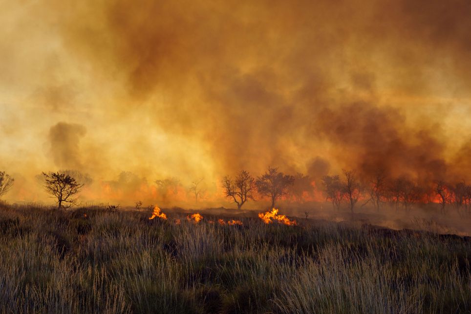 Sydney submergée par la fumée toxique des incendies — Australie Sydney submergée par la fumée toxique des incendies — Australie
