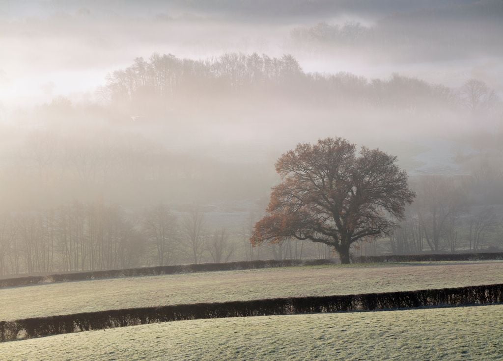 La campagne dans le Sussex, où Virginia Wolf passa une partie de sa vie.