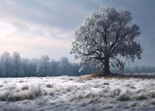 L'hiver pourrait arriver rapidement début novembre en France ! Les gelées seraient présentes ! Mais faut-il y croire ? 