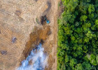 L'Homme va gagner beaucoup de terrain sur les espaces naturels d'ici 2070 : quelles conséquences ? 