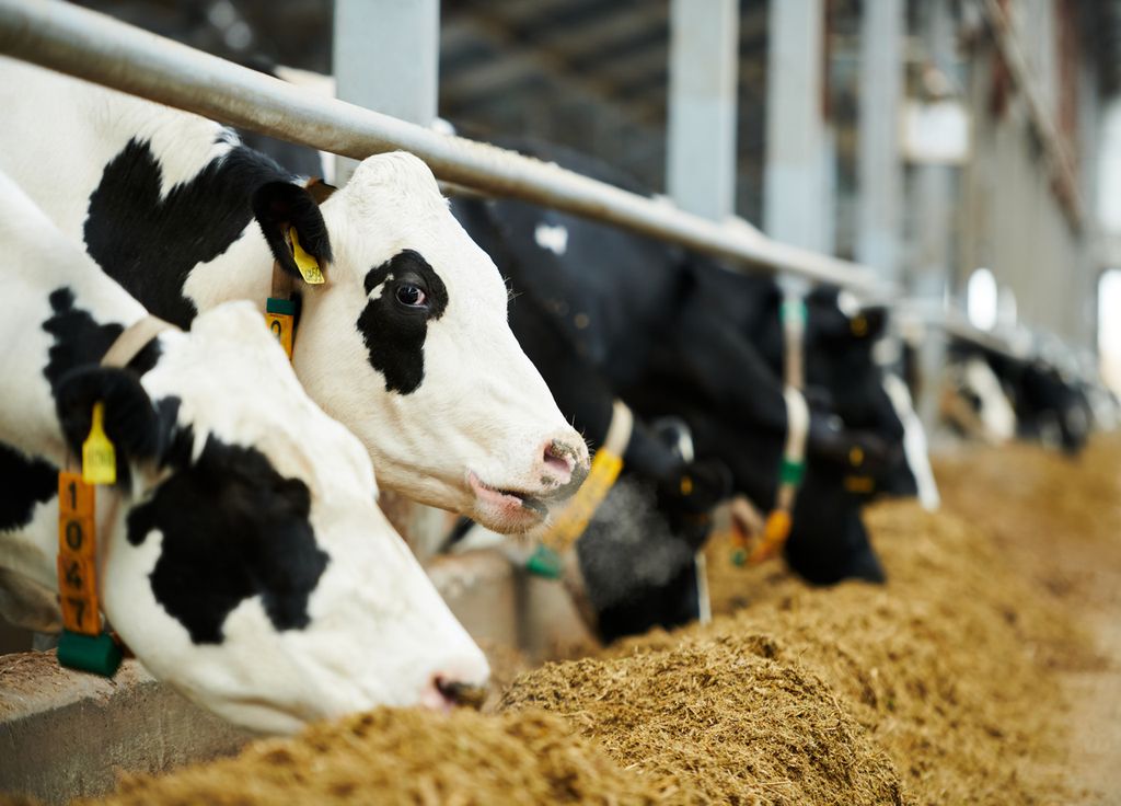 lait réchauffement climatique lait réchauffement climatique