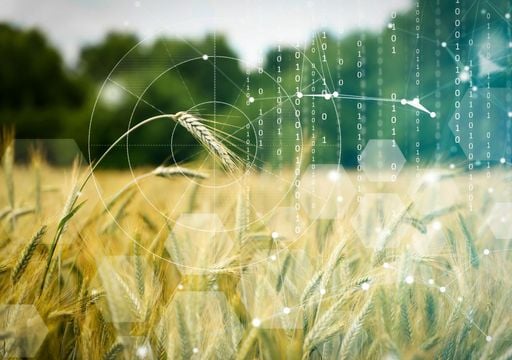 L&rsquo;impatto ambientale dei cibi di largo consumo: uno studio rivela gli equivoci pi&ugrave; frequenti