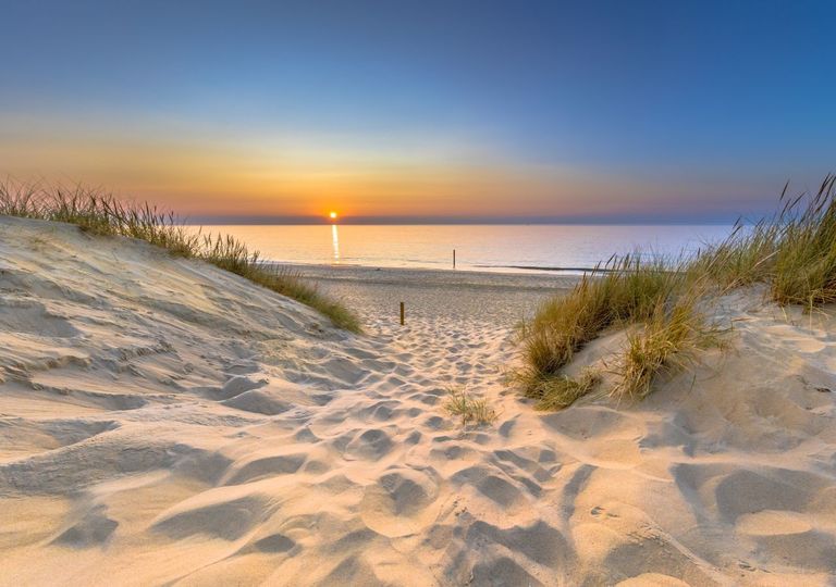 La importancia de las dunas en las playas, un baluarte natural para defender las playas de la erosión costera
