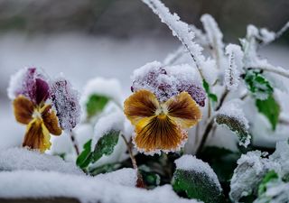 L'incredibile ondata di freddo dell'estate 1972, quando improvvisamente ad agosto piombò l'autunno in Italia