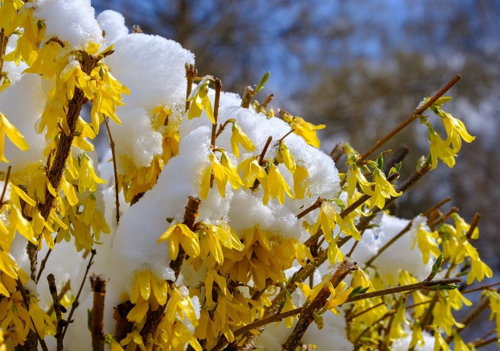 Ondata di freddo estiva. Ondata di freddo estiva.