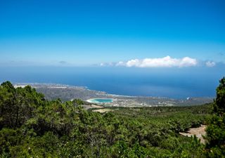 L'incredibile ricchezza di biodiversità di Pantelleria, un giardino in mezzo al mare fra Africa e Europa 