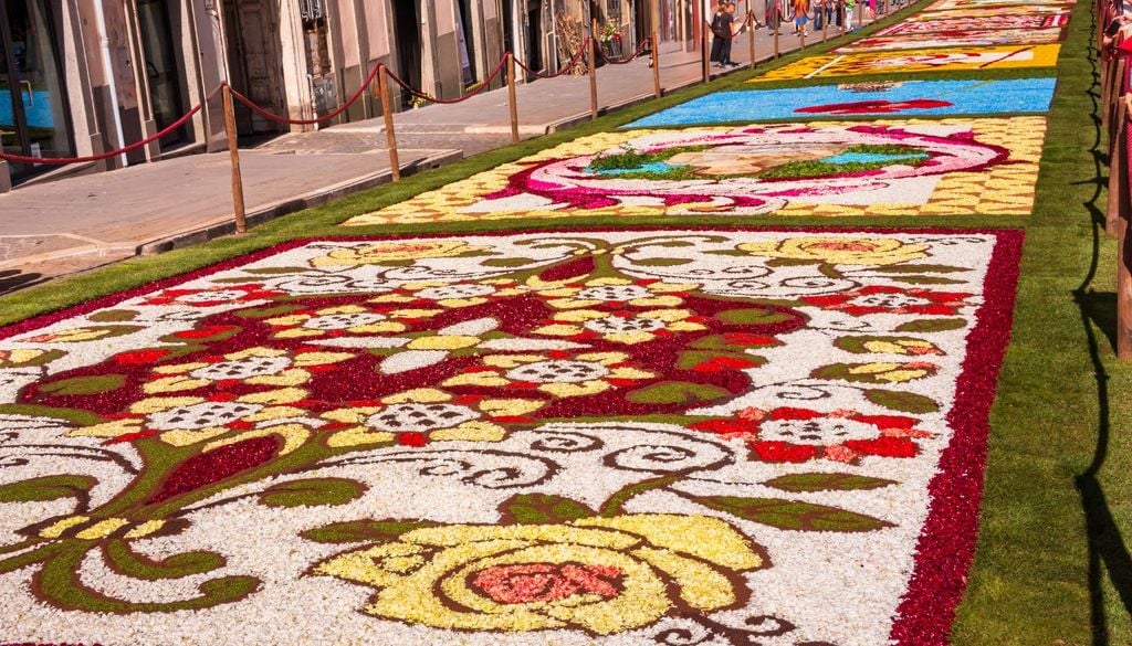 2026 Infiorata Genzano Sono diverse migliaia i fiori raccolti ogni anno per comporre le opere che danno vita all'Infiorata di Genzano