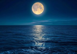 L’Influenza del primo giorno di Luna piena sulla riproduzione degli organismi marini: lo spettacolo del "mass spawning"