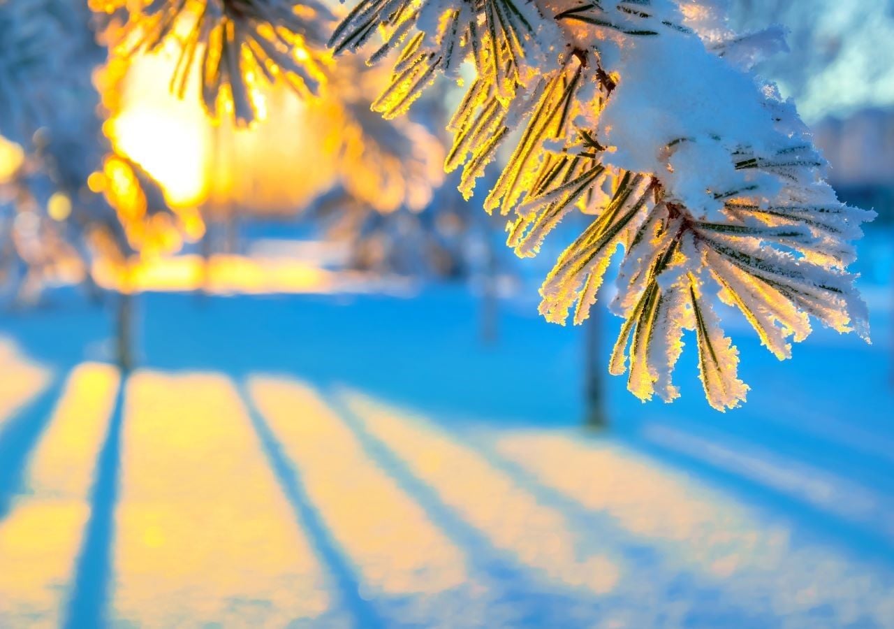 Con l’abbassamento di latitudine del vortice polare l’Europa si preparerà a vivere una severa fase di maltempo invernale, con il ritorno delle prime nevicate, fino al piano, su molti Paesi dell’Europa centrale, dalla Francia fino alle pianure dell’est.