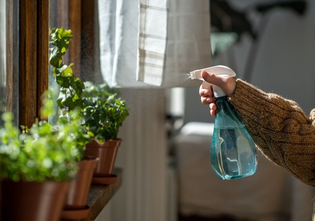 Il lavaggio delle foglie con acqua è un'azione sia preventiva che curativa contro il ragnetto rosso