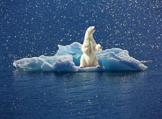 Clima, l'Italia non ospiterà la conferenza COP26