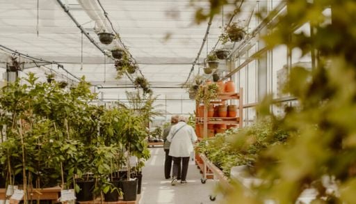 L'Odysserre &agrave; Angers&nbsp;: un nouvel espace pour cultiver notre lien au vivant
