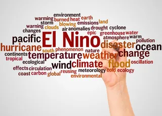 OMM está muy preocupada: el fenómeno de El Niño se está debilitando pero su influencia persistirá este 2024