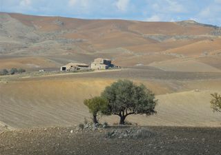 L'ondata di caldo del 1999, quando in Sicilia si sfondarono i +48°C