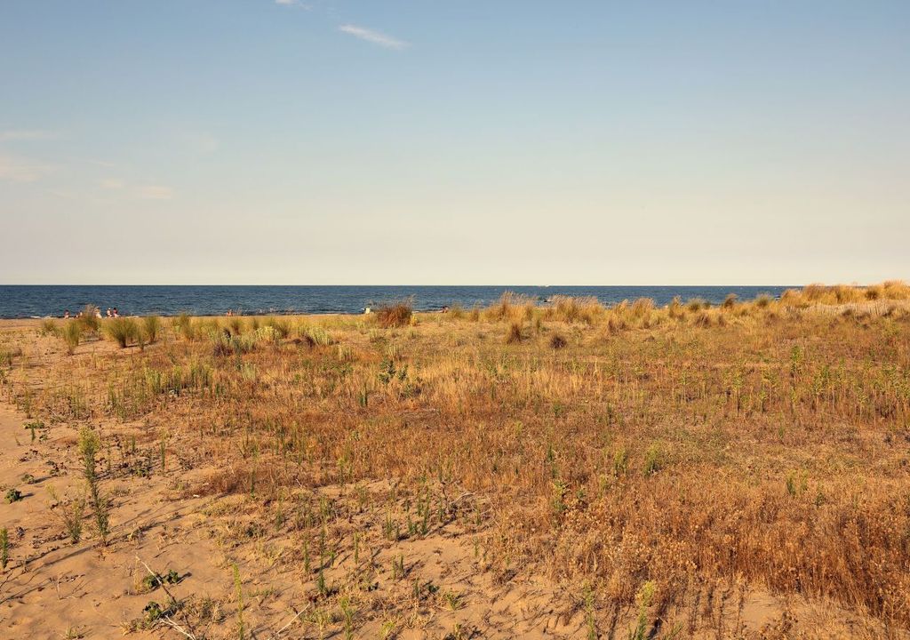Siccità, Sicilia. Siccità, Sicilia.