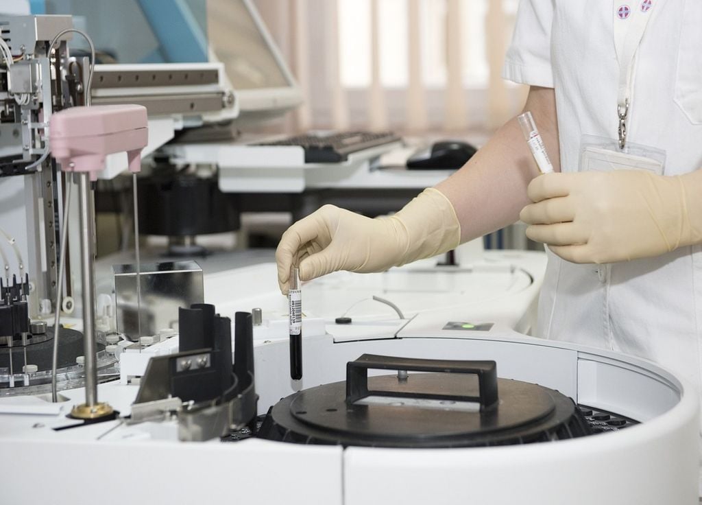 Des cellules souches cultivées en laboratoire Des cellules souches cultivées en laboratoire