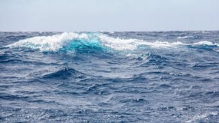 La acidificación de los océanos avanza más rápido de lo previsto amenazando las economías locales y costeras