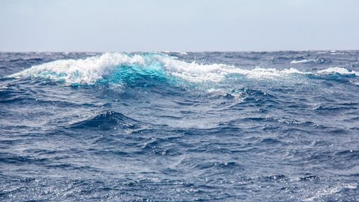 La acidificación de los océanos avanza más rápido de lo previsto amenazando las economías locales y costeras