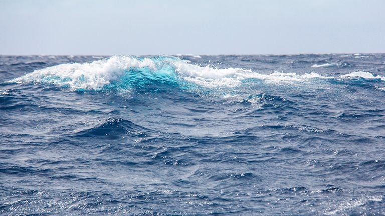 La acidificación de los océanos avanza más rápido de lo previsto amenazando las economías locales y costeras