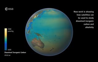 La acidificación de los océanos sigue aumentando