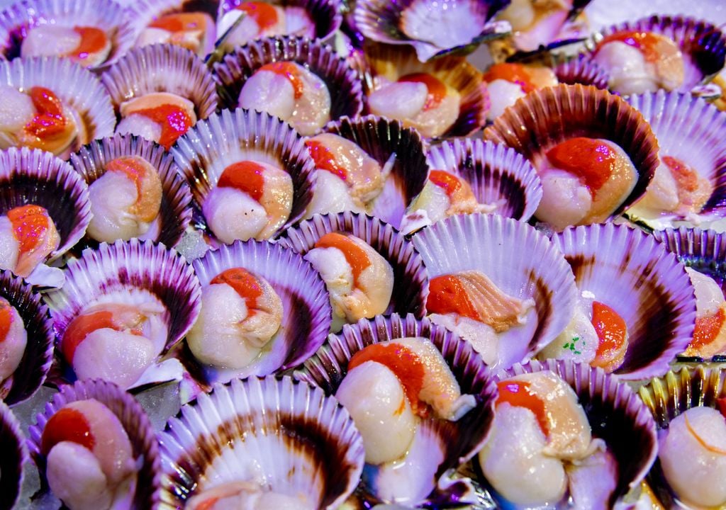 El ostión es uno de los mariscos preferidos de los chilenos.