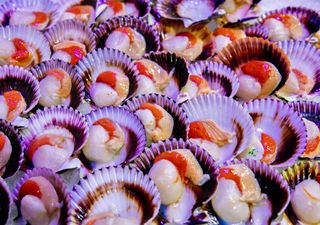 La advertencia sobre el consumo de mariscos en Semana Santa que debes conocer