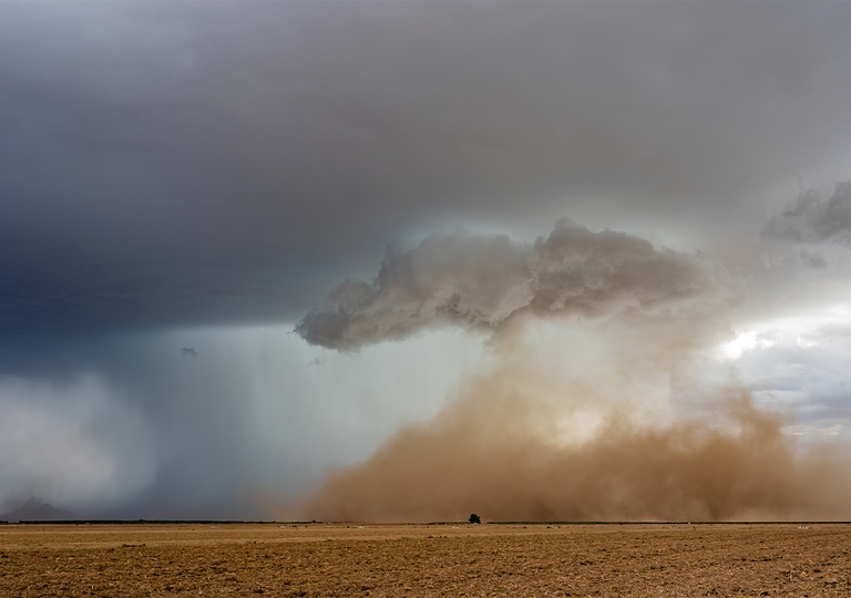 La AEMET activar&aacute; m&uacute;ltiples avisos por tormentas con vendavales a partir de las 12 y 16 horas