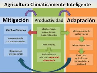 La agricultura climáticamente inteligente