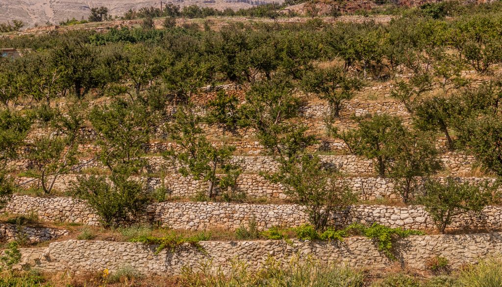 La existencia de fincas de cultivo entre las superficies forestales pueden frenar el avance de un incendio y facilitar su extinción por parte de los profesionales.