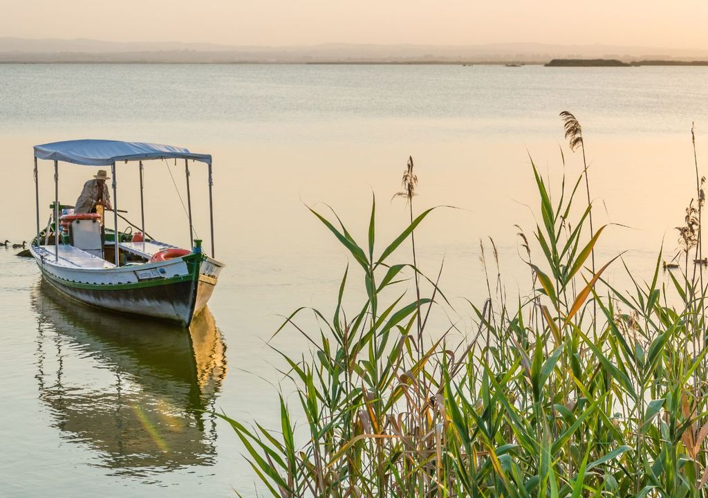 la Albufera se ha convertido en un caso de estudio relevante sobre cómo los ecosistemas pueden recuperarse tras episodios como las danas