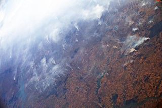 La Amazonía como sumidero de carbono en declive