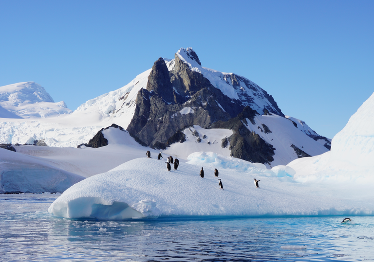 L'Antarctique a atteint 15,4 &deg;C en plein hiver : comment une vague de chaleur exceptionnelle s'est produite